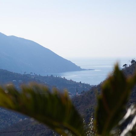 Villa Le Macine Molino Nuovo  外观 照片