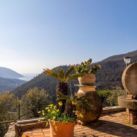 Villa Le Macine Molino Nuovo  外观 照片