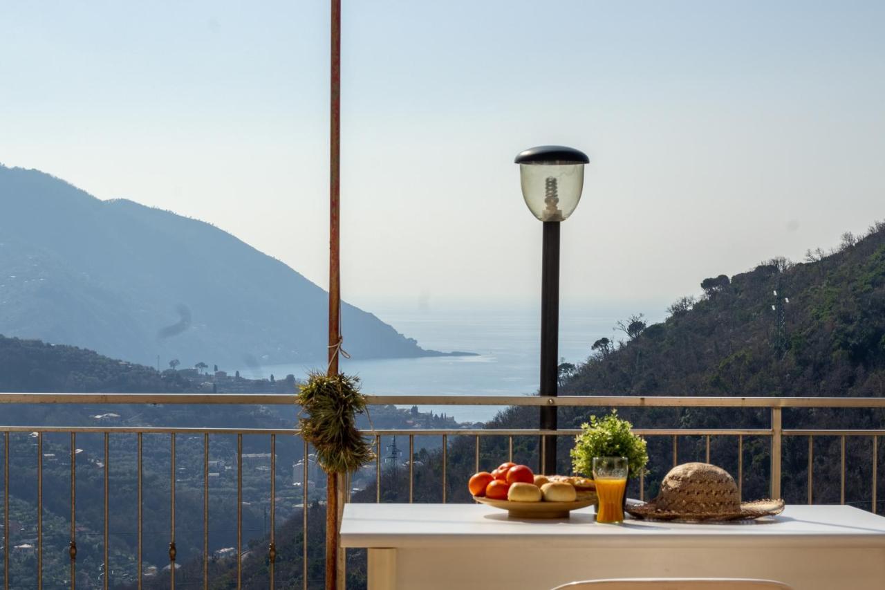 Villa Le Macine Molino Nuovo  外观 照片