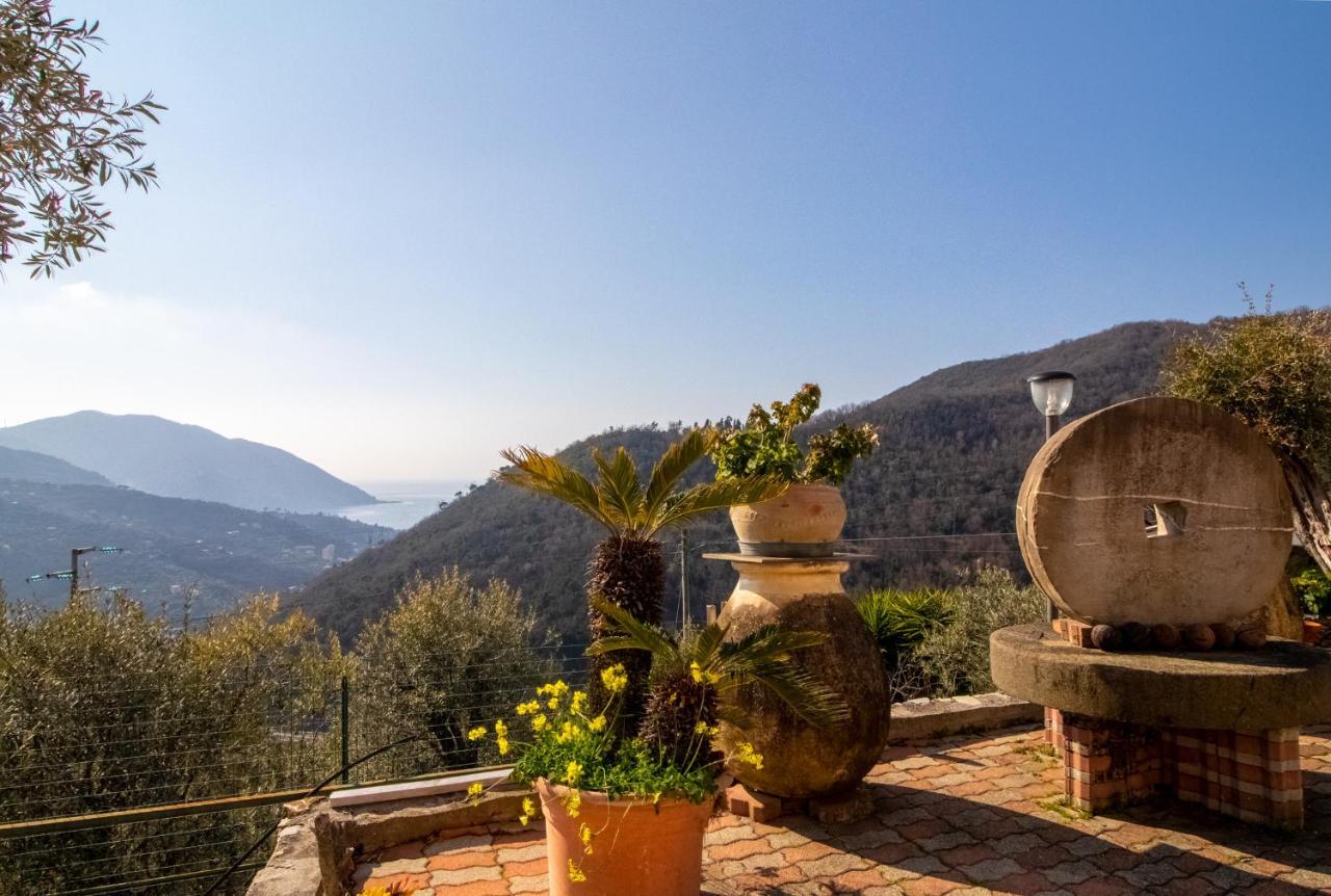 Villa Le Macine Molino Nuovo  外观 照片