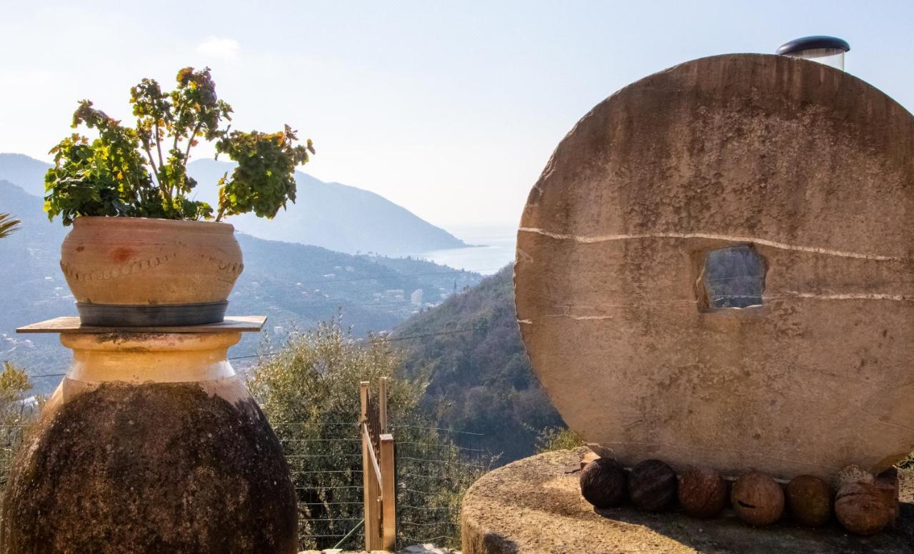 Villa Le Macine Molino Nuovo  外观 照片